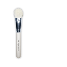 Lyndsey Harrison the Face Brush set