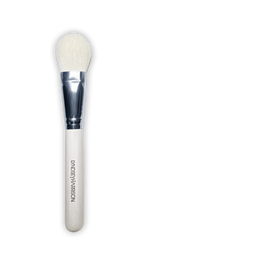 Lyndsey Harrison the Face Brush set