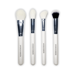 Lyndsey Harrison the Face Brush set